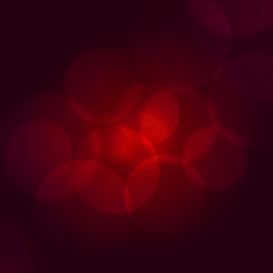 Merry Christmas GIF by Spini.gif
