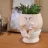 flowerpot
